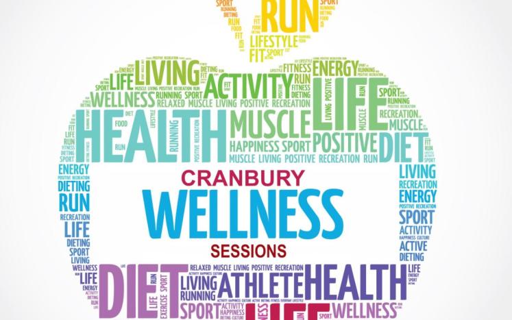Wellness logo - picture of apple